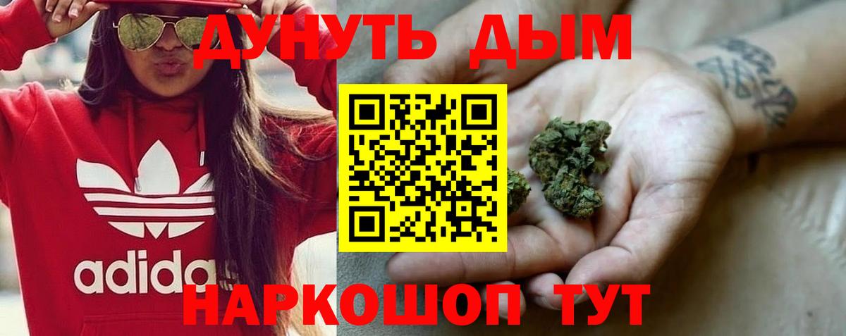 Острогожск  Каннабис сатива  Каннабис сатива  Вход с VPN 